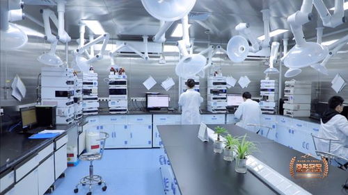 六元环三剑客 二十年死磕分子砌块，让中国技术嵌入全球药脉